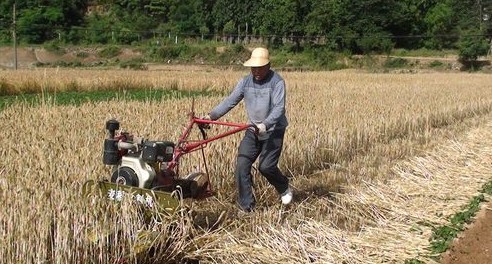 商南縣大力推廣小型小麥收割機