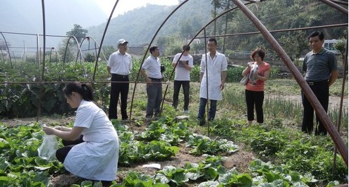 鎮(zhèn)安縣蔬菜生產(chǎn)基地進行抽查檢測