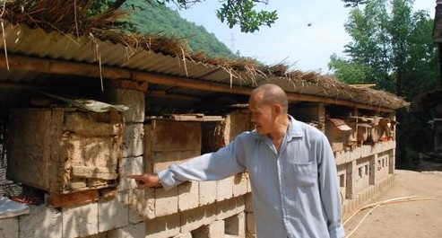 養(yǎng)蜂能人的甜蜜生活