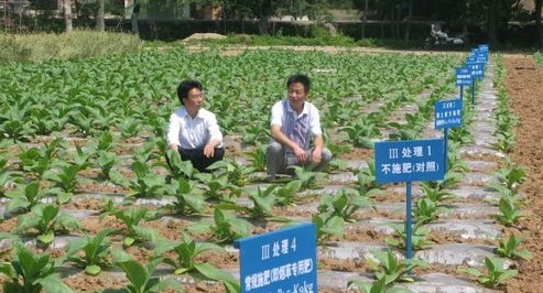 洛南縣農(nóng)技中心實(shí)施測(cè)土配方施肥項(xiàng)目