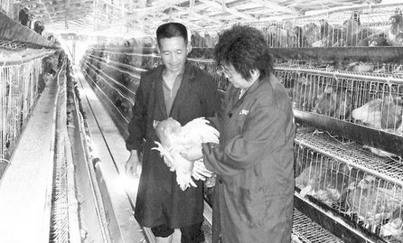 商南縣科技特派員幫助農(nóng)民增收致富