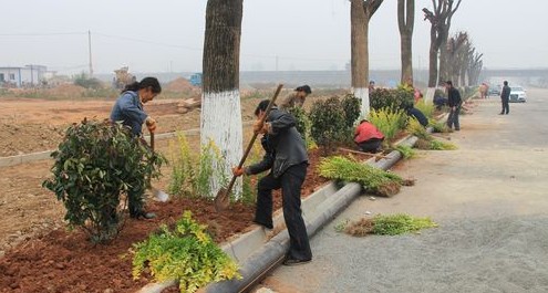 商州區(qū)省級重點鎮(zhèn)建設(shè)進(jìn)展快速推進(jìn)