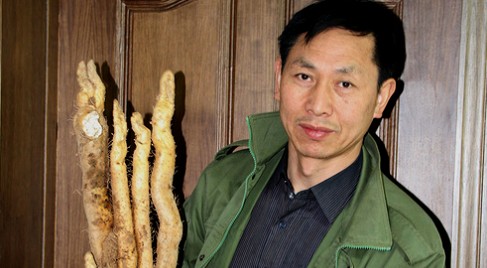 商南發(fā)現(xiàn)巨型野生山藥