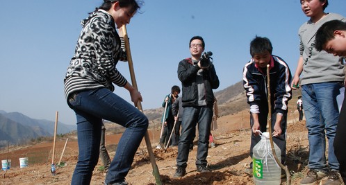 商南干部職工義務栽植核桃苗