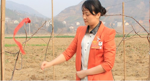 從土門村到人民大會(huì)堂