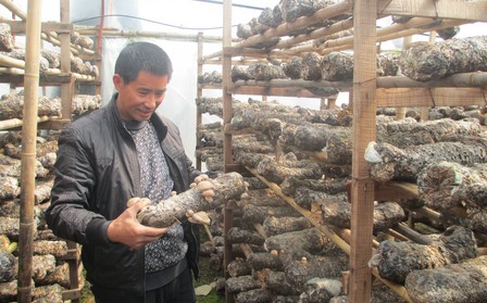 山陽(yáng)：新技術(shù)帶來新發(fā)展