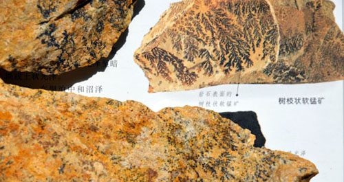 洛南發(fā)現(xiàn)的樹紋化石其實是錳礦