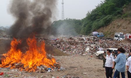 商南集中銷毀假冒偽劣食品藥品