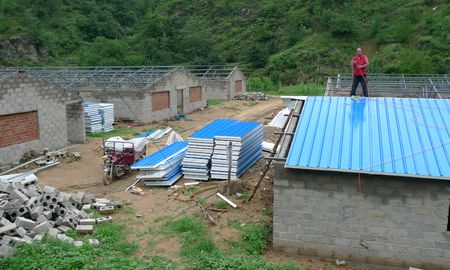 丹鳳寺坪鎮(zhèn)動員群眾在趙塬村發(fā)展萬頭豬場