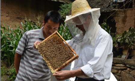 山陽總工會組織養(yǎng)蜂技術(shù)專家指導(dǎo)產(chǎn)業(yè)發(fā)展