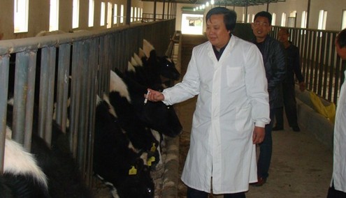 商南：扎根農(nóng)村的畜牧狀元