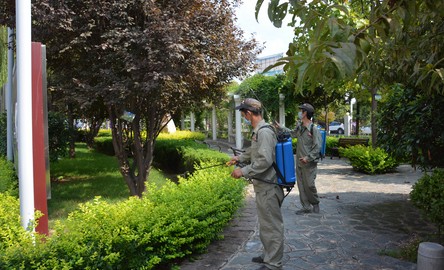 丹鳳對(duì)全縣公共場(chǎng)所進(jìn)行全面消殺