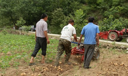 柞水引進(jìn)十臺(tái)馬鈴薯挖掘機(jī)示范推廣