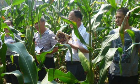 柞水建立農(nóng)業(yè)科技試驗示范基地