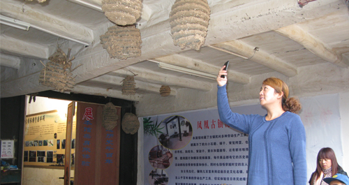 陜南胡蜂窩成為招來(lái)游客的一道風(fēng)景