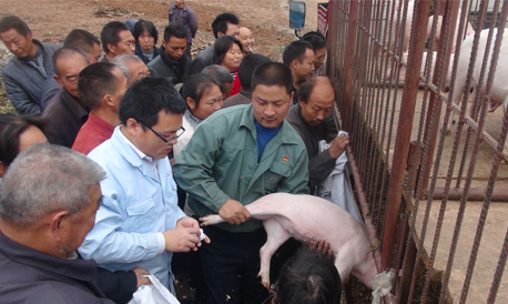 商南為富水鎮(zhèn)貧困戶提供產(chǎn)業(yè)扶持資金