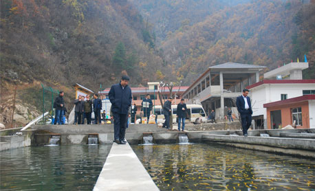 柞水縣促進(jìn)轄區(qū)生態(tài)休閑觀光農(nóng)業(yè)快速發(fā)展
