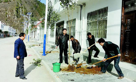 丹鳳機(jī)關(guān)干部職工開展義務(wù)植樹活動(dòng)