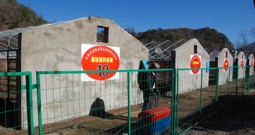 洛南縣草木香食用菌合作社年產(chǎn)值400萬(wàn)元