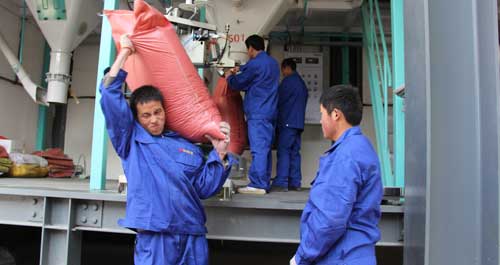 華茂牧業(yè)高效飼料廠項目正式投產(chǎn)