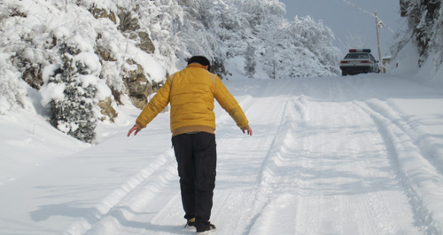 受積雪影響丹鳳縣往北方巒莊、庾嶺和蔡川路段近期封路