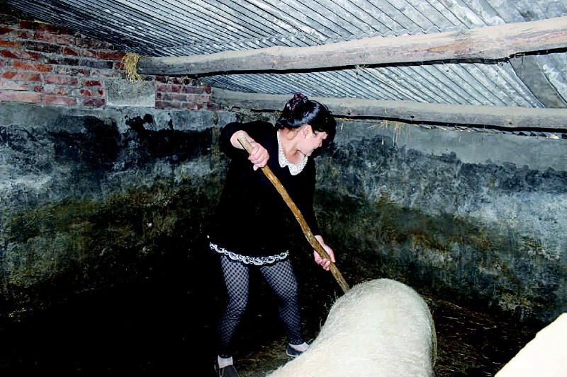 用愛撐起一片天