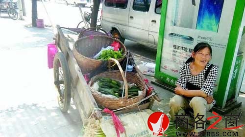 縣城最后的菜農(nóng)