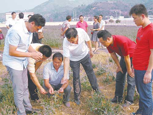 為貧困戶量身定制經(jīng)營項目
