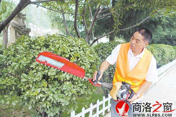 正在修剪綠化帶的王曾智