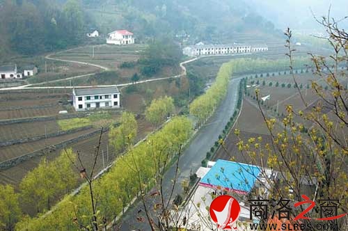 一派田園風(fēng)光的木王農(nóng)村