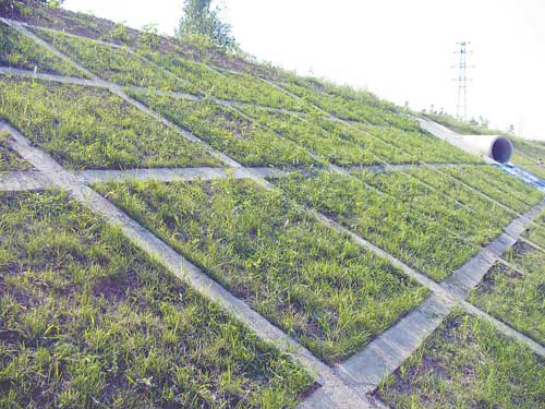 生態(tài)河道治理的典范