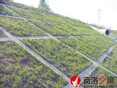 生態(tài)河堤試驗(yàn)段，儼然一道風(fēng)景線。