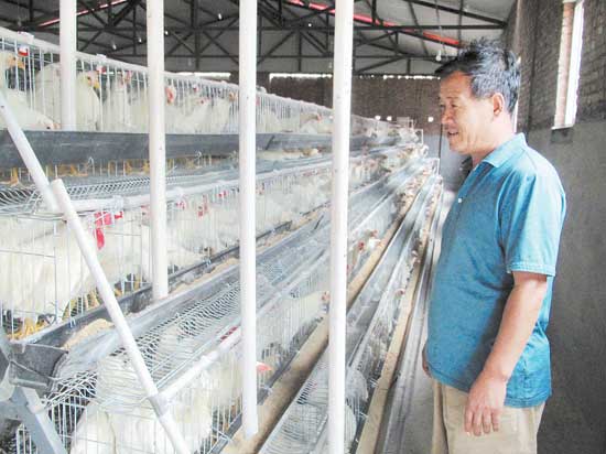 山溝里建起生態(tài)養(yǎng)殖園