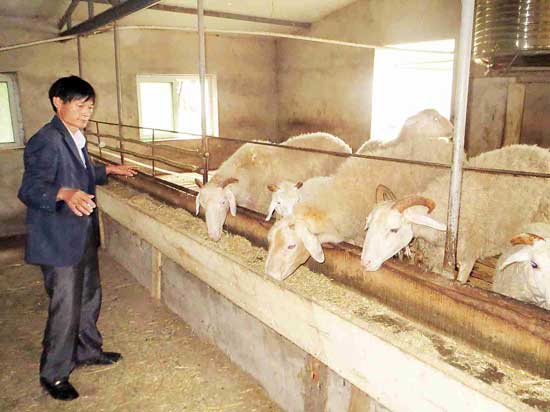 青山鎮(zhèn)“一戶一法”精準扶貧幫農(nóng)家