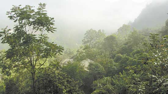 趙川發(fā)現(xiàn)極具開(kāi)發(fā)價(jià)值古寨