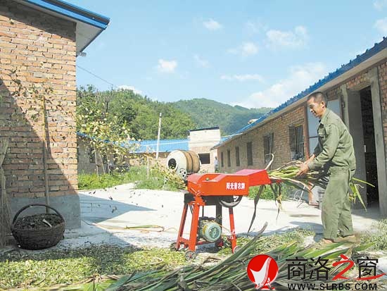 村民賣過玉米棒子后，地里的玉米秸稈又能返回小區(qū)當(dāng)飼料