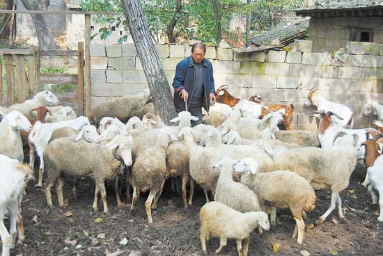 洛河源頭牧羊人