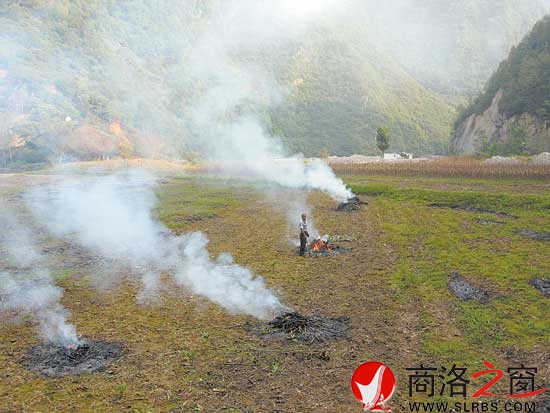 玉米收獲后，肖臺村民老孫的田里狼煙四起。