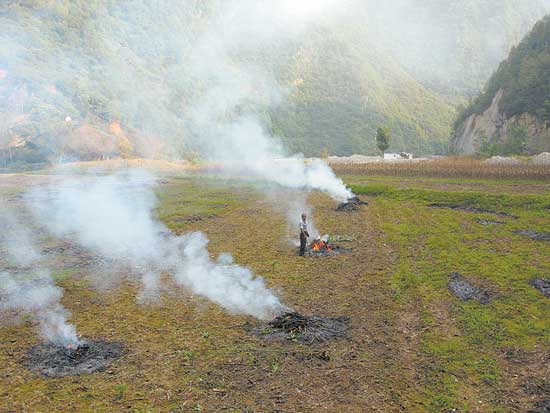 秸稈還田難在哪里