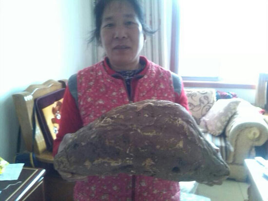 5.5公斤的紅薯“巨無霸”