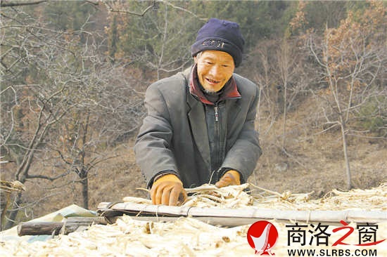 天氣暖和了，何長財一邊曬太陽，一邊收拾挖回來的藥材。