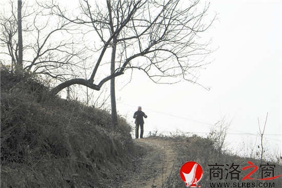 我們離開時，吳桂香送出很遠(yuǎn)。我們已經(jīng)走遠(yuǎn)，山梁上那孤獨(dú)的身影久久不肯離去。