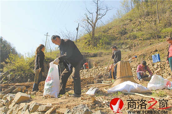 正是種豬苓的時候,田地里隨處可見種植的農(nóng)戶。