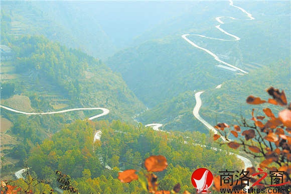 通往姬家河的鄉(xiāng)村公路蜿蜒在綠海中，行走其中，就是一種享受。