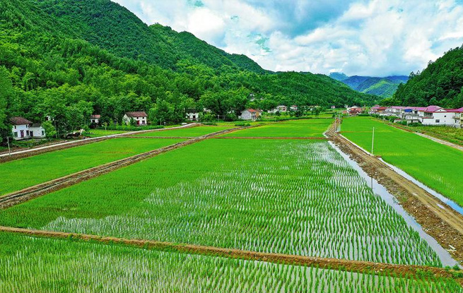 智慧水產養(yǎng)殖園生機盎然
