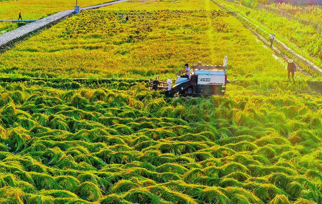 種養(yǎng)結合 循環(huán)發(fā)展